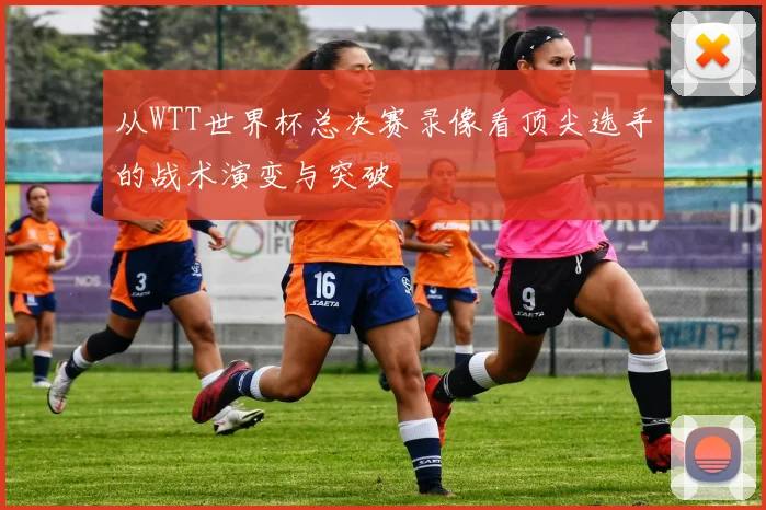 从WTT世界杯总决赛录像看顶尖选手的战术演变与突破