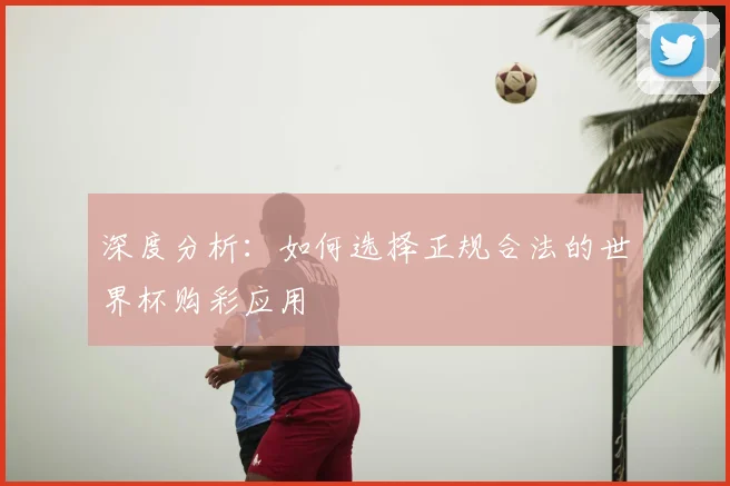深度分析：如何选择正规合法的世界杯购彩应用