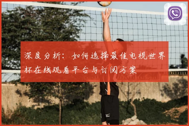 深度分析：如何选择最佳电视世界杯在线观看平台与订阅方案