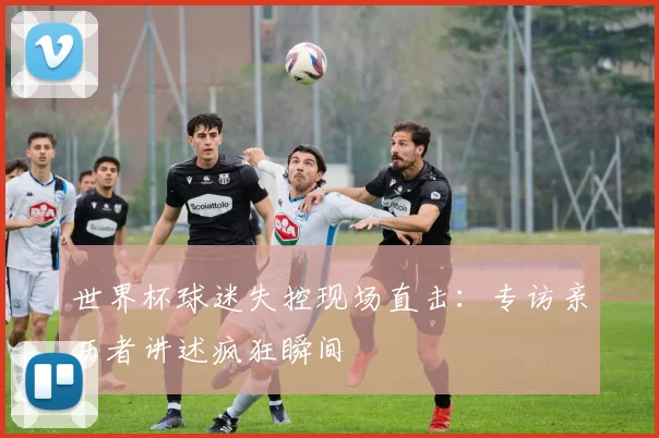 世界杯球迷失控现场直击:专访亲历者讲述疯狂瞬间