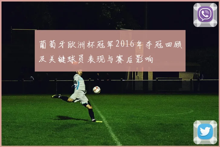 葡萄牙欧洲杯冠军2016年夺冠回顾及关键球员表现与赛后影响