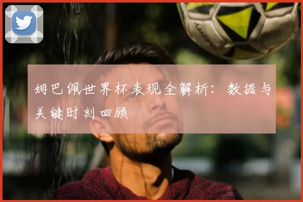 姆巴佩世界杯表现全解析：数据与关键时刻回顾