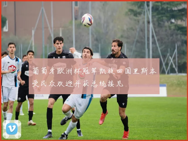 葡萄牙欧洲杯冠军凯旋回国里斯本受民众欢迎并获总统接见