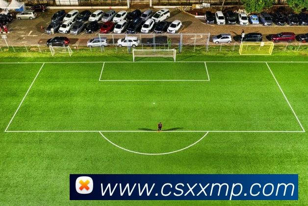 开云在线官方网站平台生态图